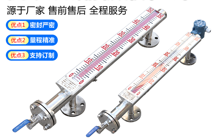 側(cè)裝式磁翻柱液位計